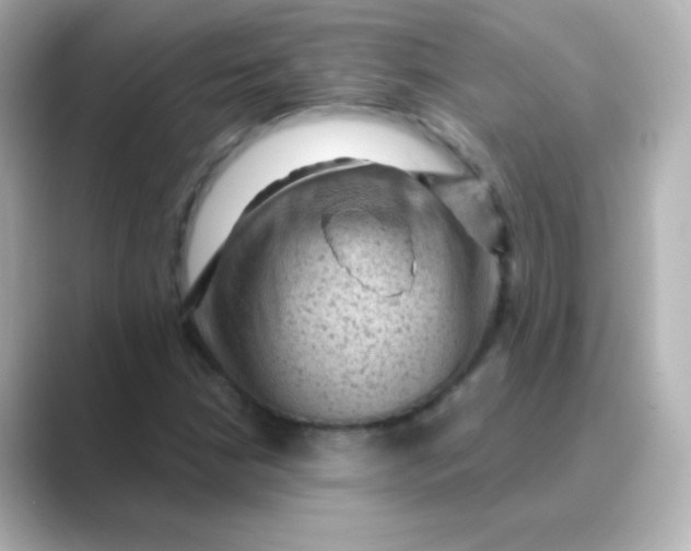 X0000088831210200706211809