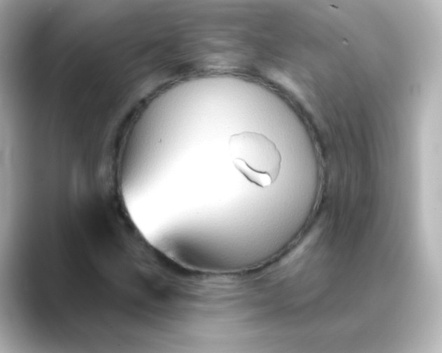 X0000088831211200706211809