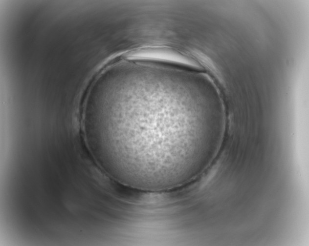 X0000088831212200706211809