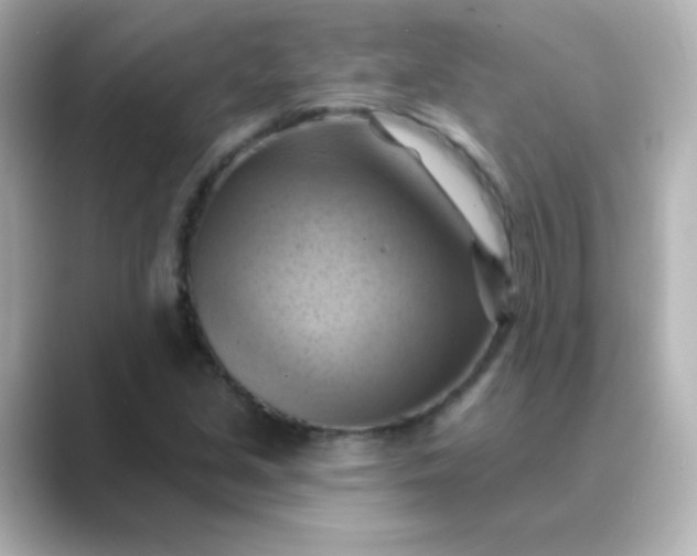 X0000088831213200706211809