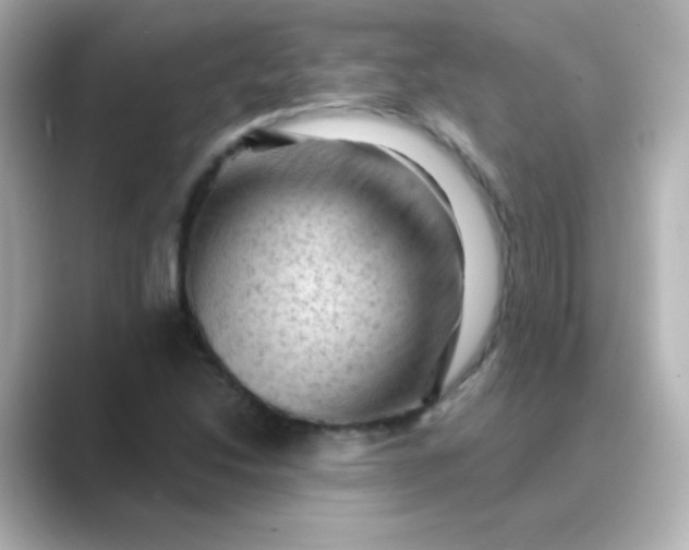 X0000088831214200706211809