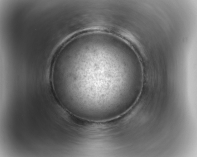 X0000088831216200706211809