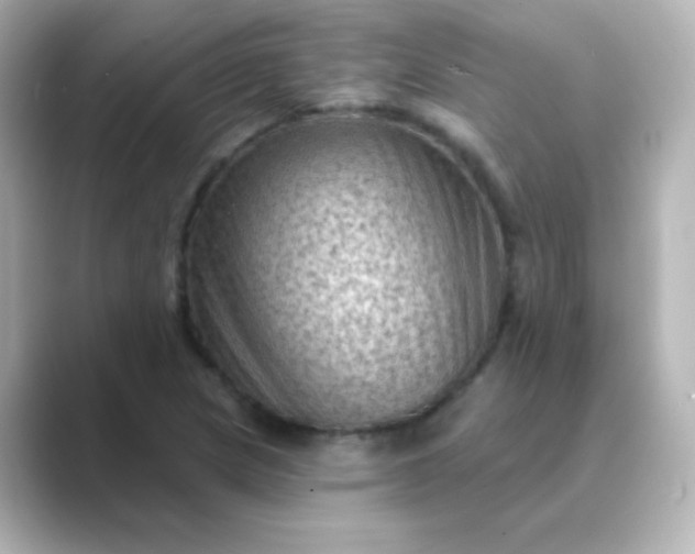 X0000088831217200706211809