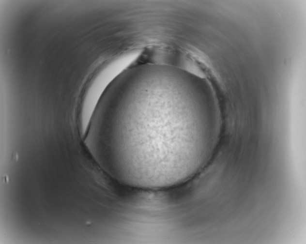 X0000088831218200706211809