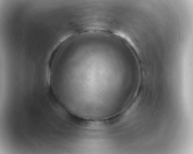 X0000088831219200706211809