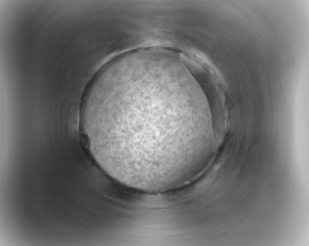 X0000088831220200706211809