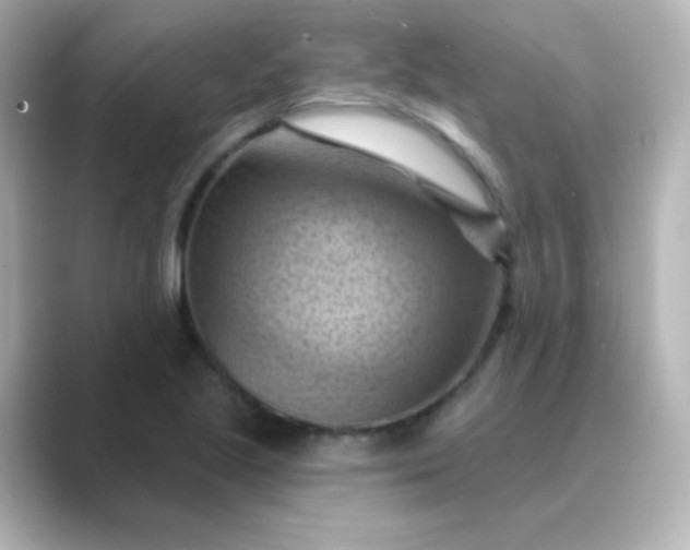 X0000088831221200706211809