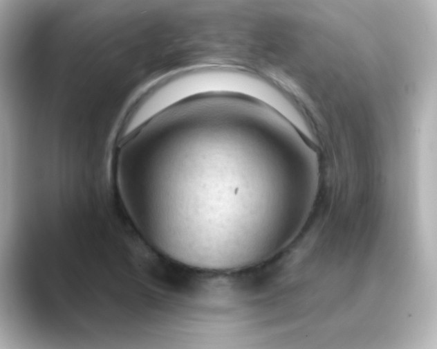 X0000088831222200706211809