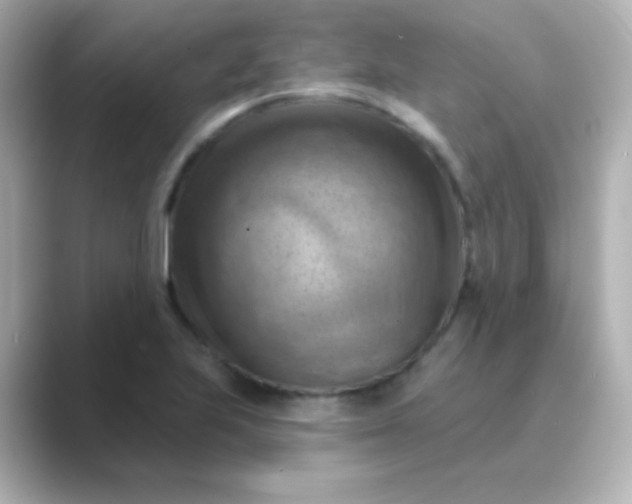 X0000088831223200706211809