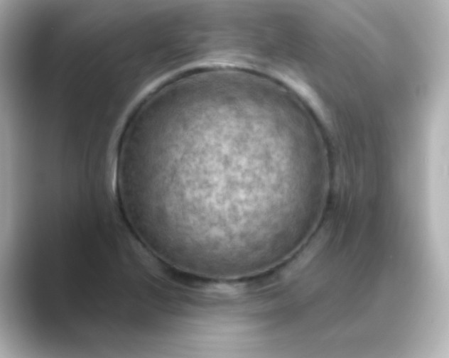 X0000088831224200706211809