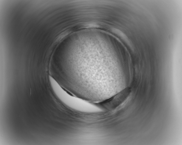 X0000088831225200706211809