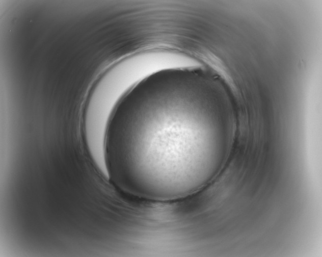 X0000088831226200706211809