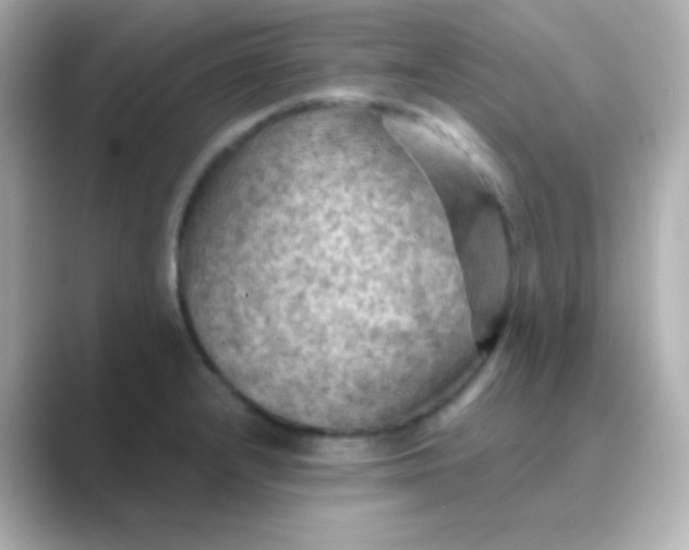 X0000088831232200706211809