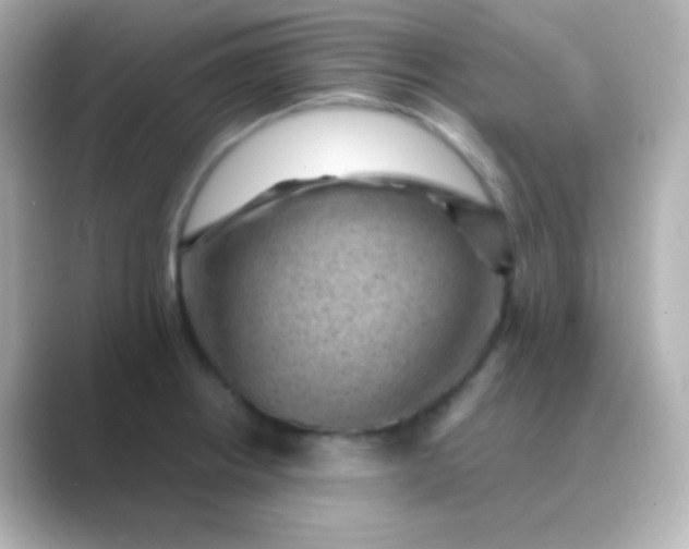 X0000088831234200706211809