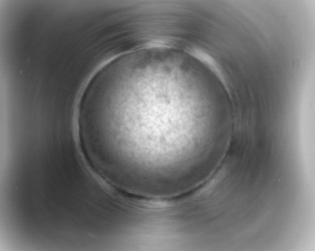 X0000088831235200706211809