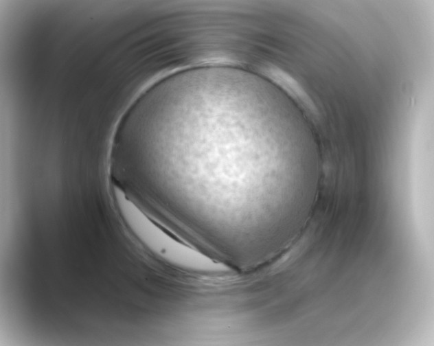 X0000088831236200706211809