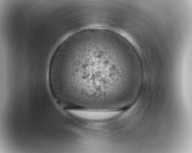 X0000088831237200706211809