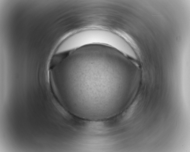 X0000088831238200706211809