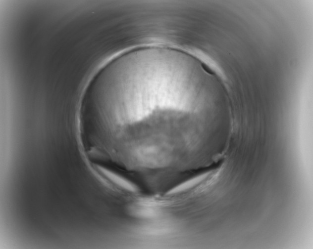 X0000088831239200706211809