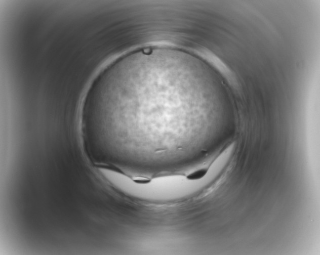 X0000088831240200706211809