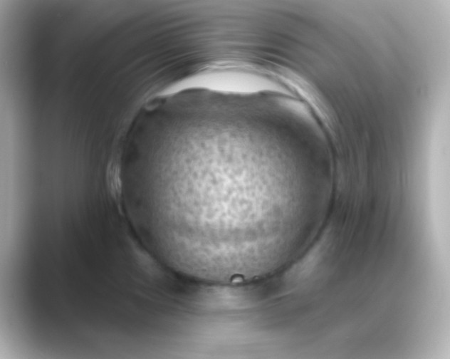 X0000088831241200706211809