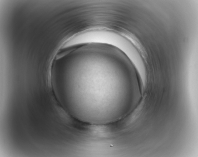 X0000088831242200706211809