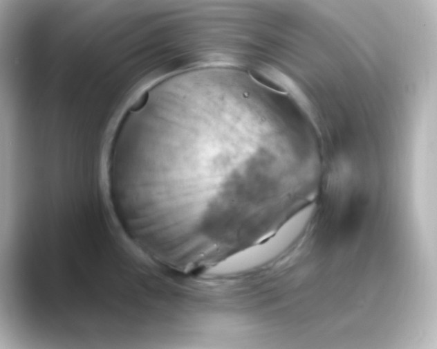 X0000088831243200706211809