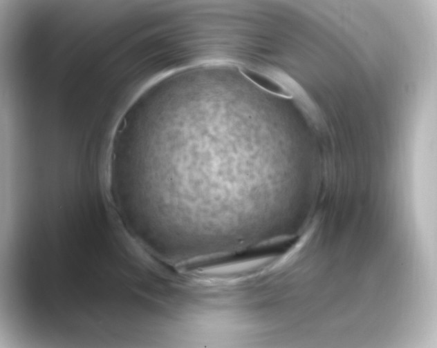 X0000088831244200706211809