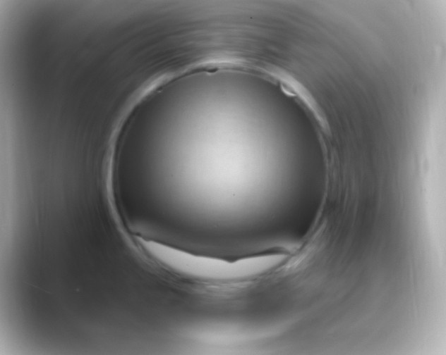 X0000088831245200706211809