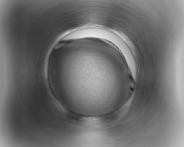 X0000088831246200706211809