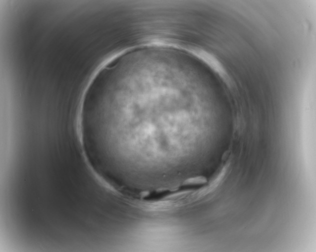 X0000088831247200706211809