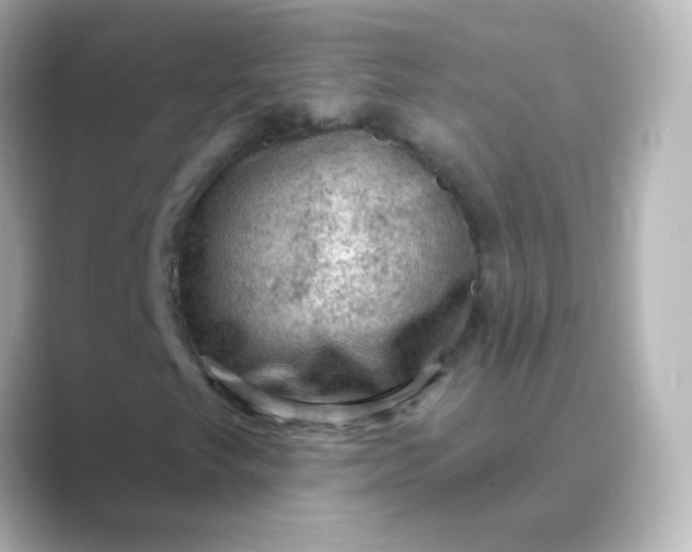 X0000088831249200706211808