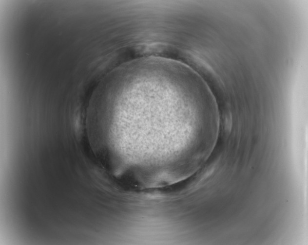 X0000088831250200706211808