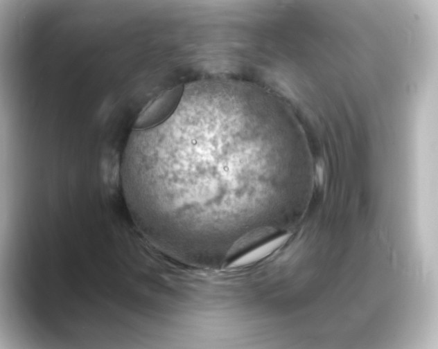 X0000088831251200706211808