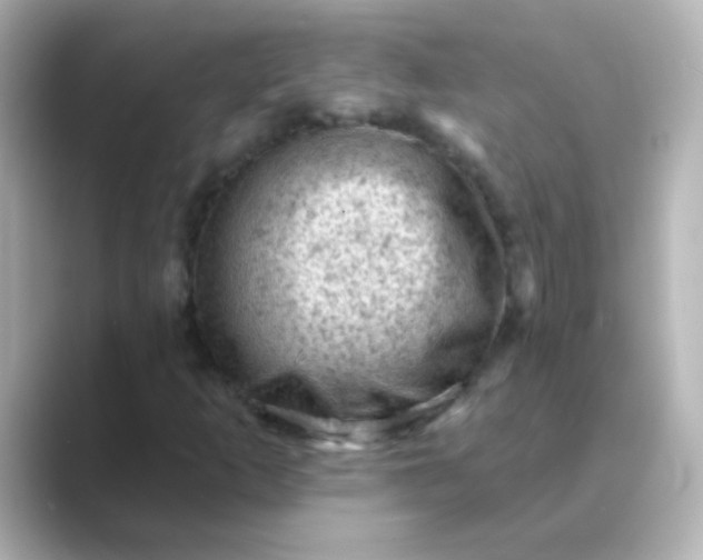 X0000088831253200706211808