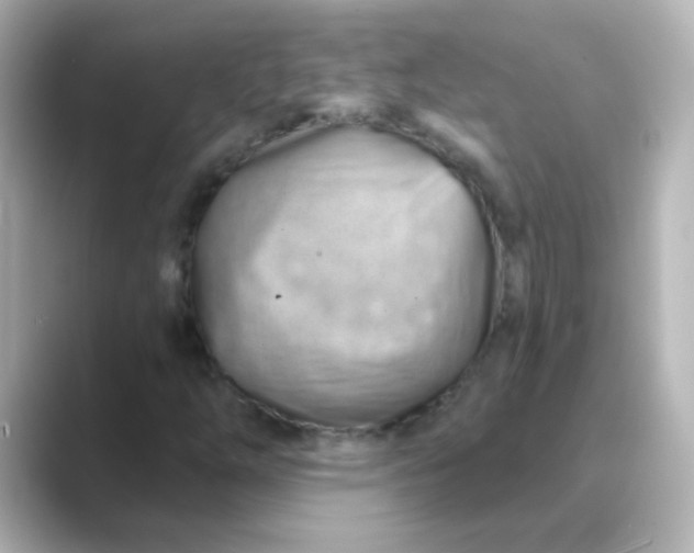 X0000088831254200706211808