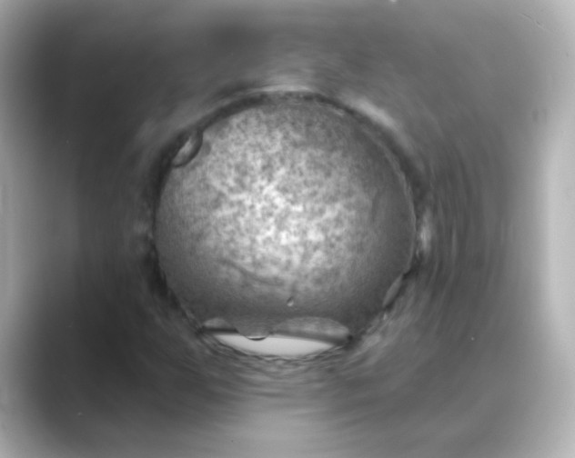 X0000088831255200706211808