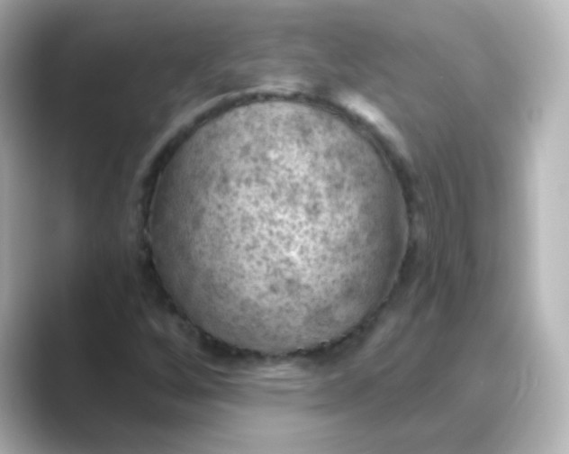 X0000088831256200706211808