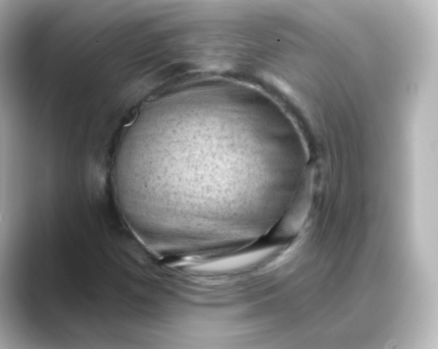 X0000088831257200706211808