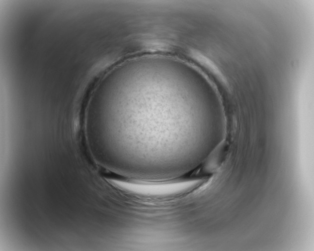 X0000088831261200706211808