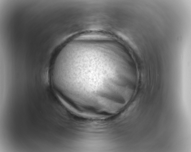 X0000088831262200706211808