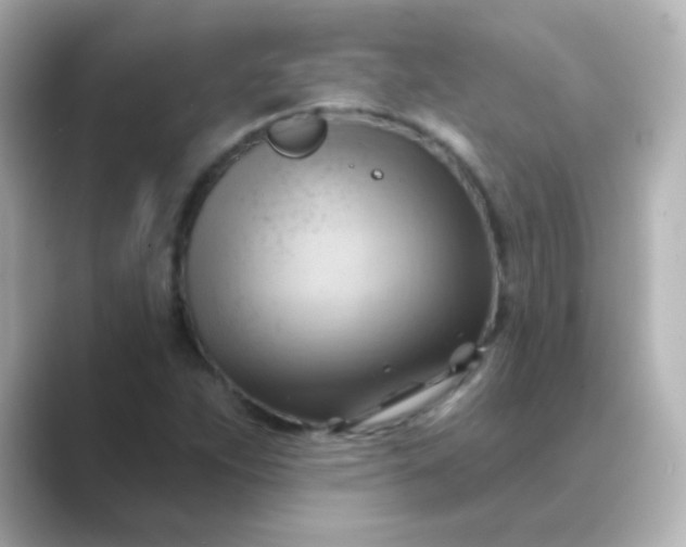 X0000088831263200706211808