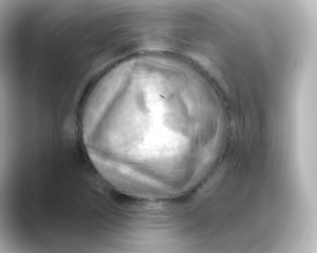 X0000088831266200706211808