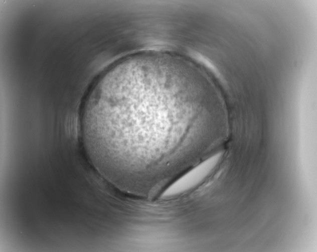 X0000088831267200706211808