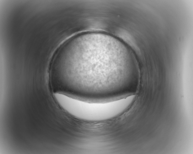 X0000088831268200706211808