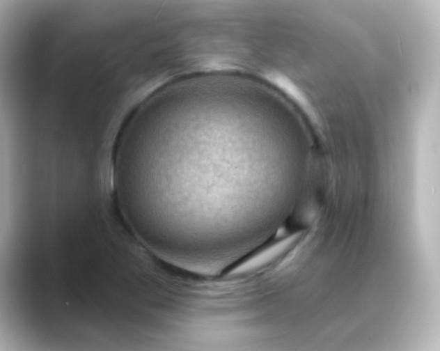 X0000088831269200706211808