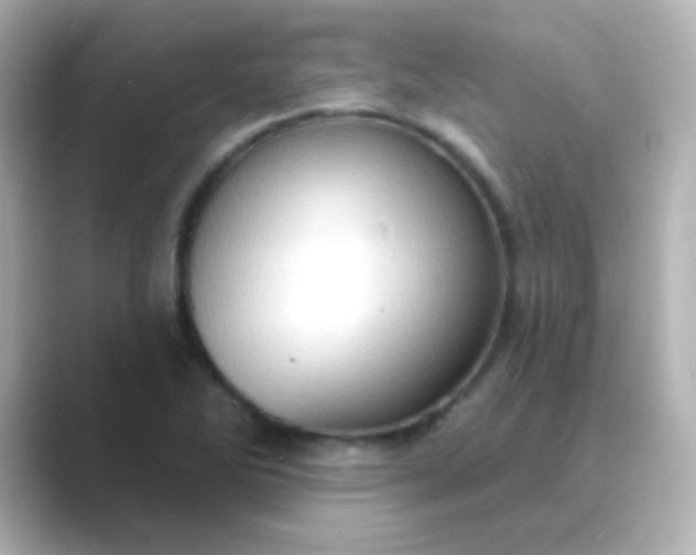 X0000088831270200706211808