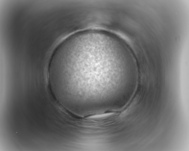 X0000088831271200706211808