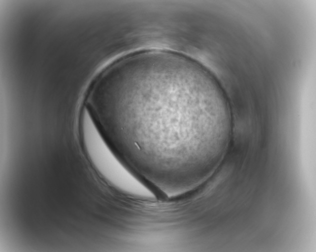 X0000088831272200706211808