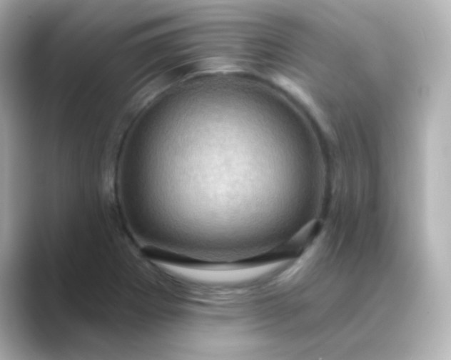 X0000088831273200706211808